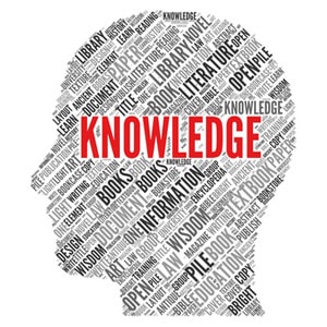 An image of tacit Knowledge